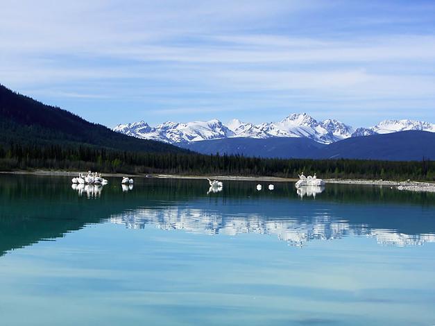 Eagle Bear Lodge Tatla Lake Buitenkant foto